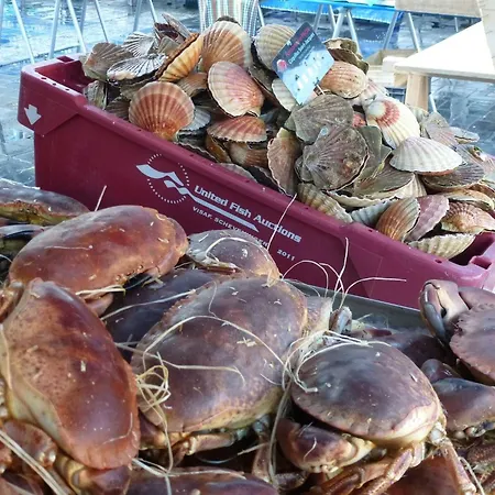 In A Near The بيت للعطل سان-كواي-بورتريو